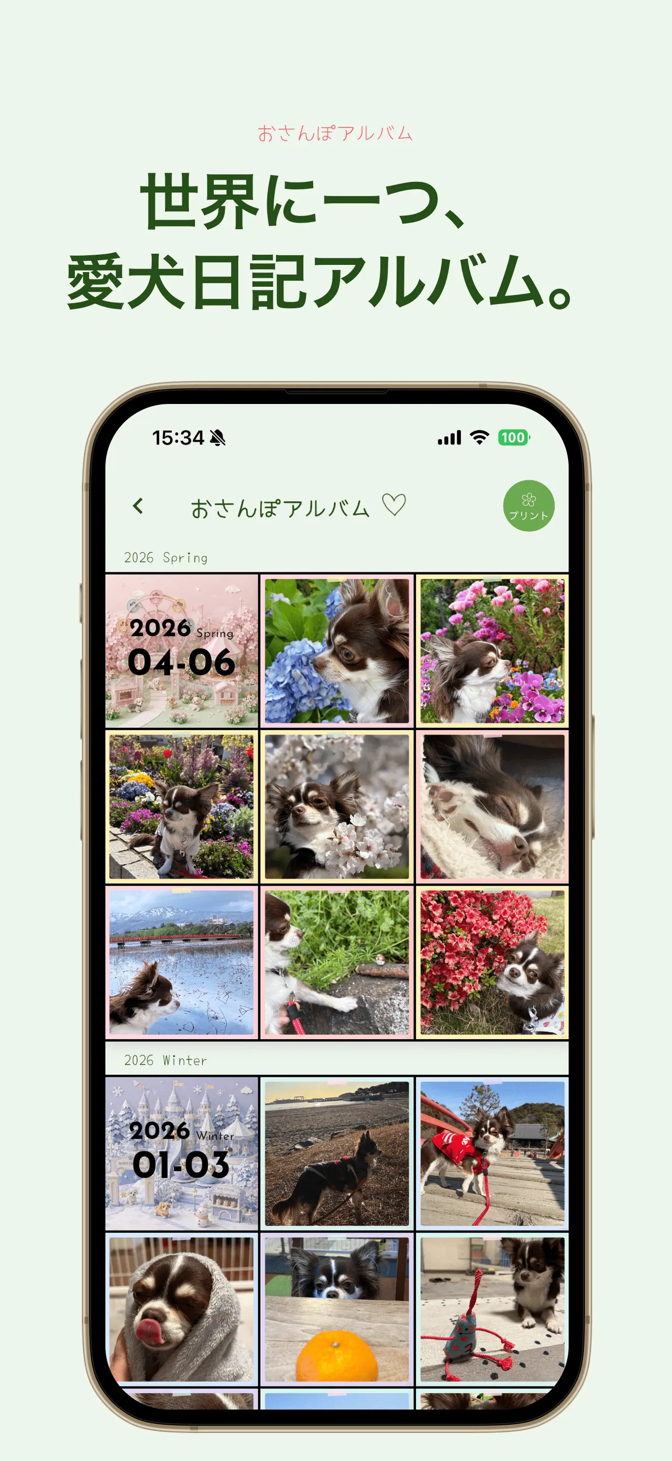 おさんぽアルバムの画面