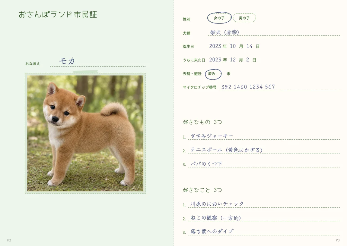 市民証のページ